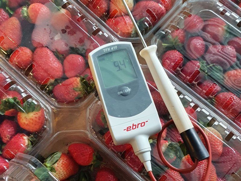 Strawberry quality
